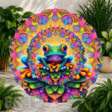 Colorful Frog Product Image
