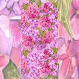Floral Elegance 5 Faded Image