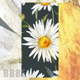 Daisy Delight 2 Faded Image