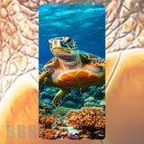 Turtle Adventure 4 Faded Image