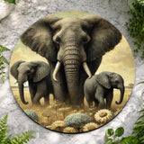 Elephant Family Main Image