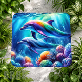 Dolphin Paradise Main Image