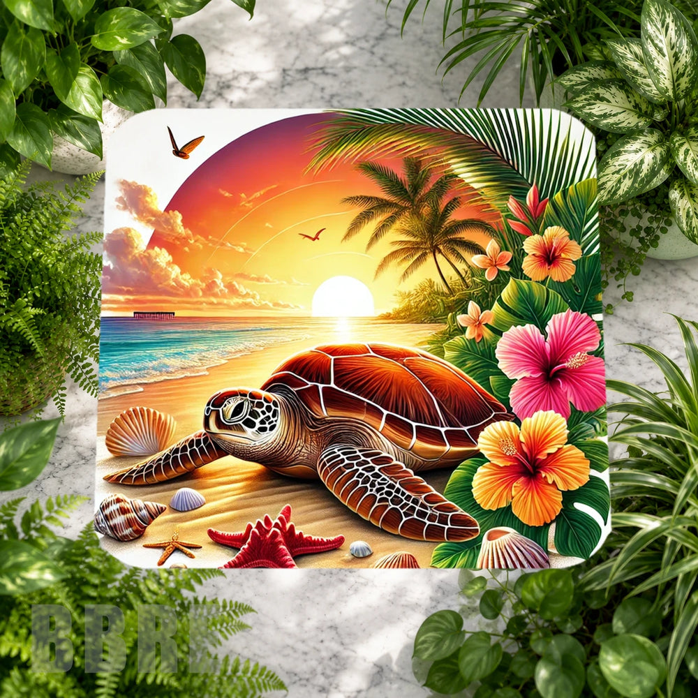 Tropical Turtle 5 Main Image