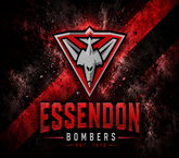 Essendon Bombers Sublimation Transfers