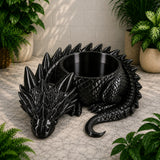 Curled Dragon