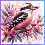 Kookaburra 20 OZ Wrap