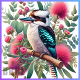 Kookaburra 20 OZ Wrap