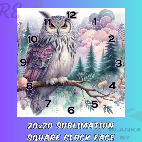 Owl, Forest