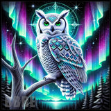 Aurora Owl 15 OZ Straight Wrap
