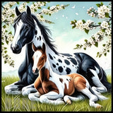 Horse Family 15 OZ Straight Wrap