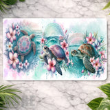 Turtle Paradise Main Image
