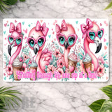 Flamingo Fun Main Image