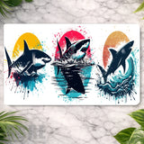 Shark Splash Main Image