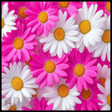 Floral Delight 20 OZ Sublimation Wrap