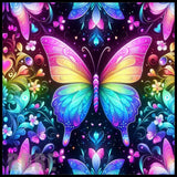 Colorful Butterfly 9 20 OZ Sublimation Wrap