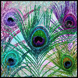 Peacock Feathers Main Image,