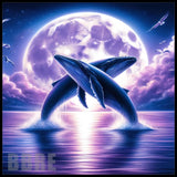Whale Dance Main Image,