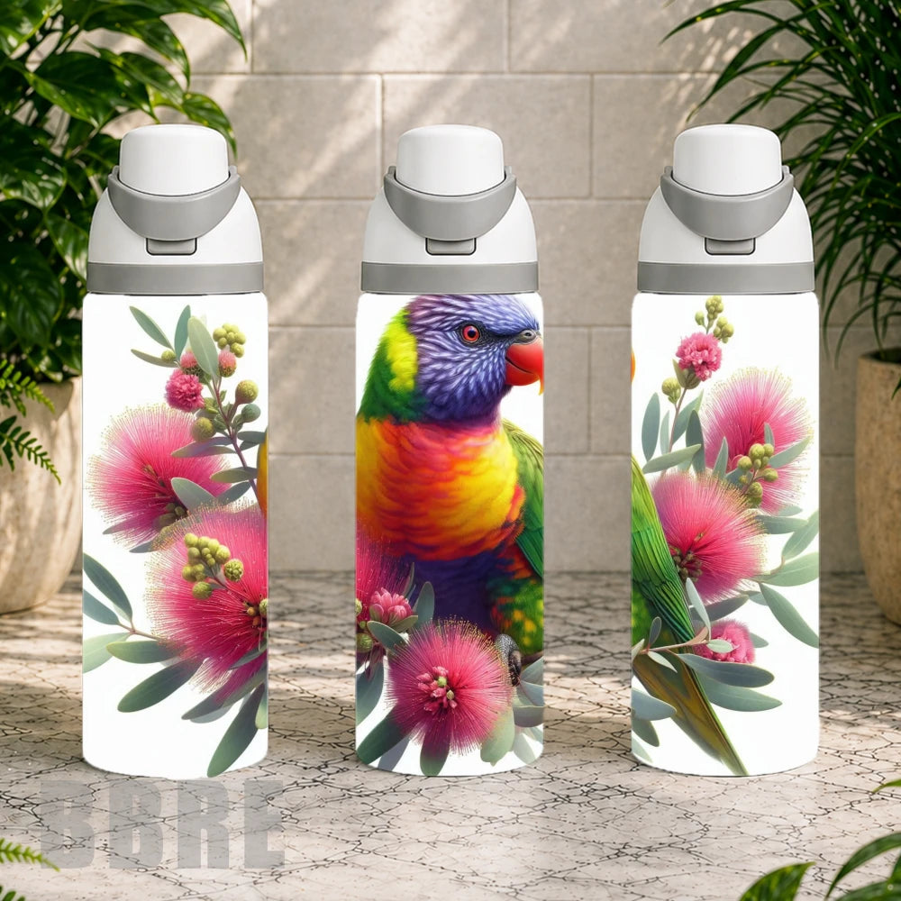 Colorful Parrot 4 Product Image,