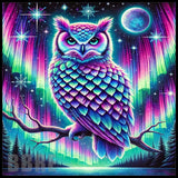 Aurora Owl Main Image,