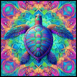 Colorful Turtle 4 Main Image,
