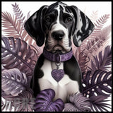 Elegant Dog Main Image,