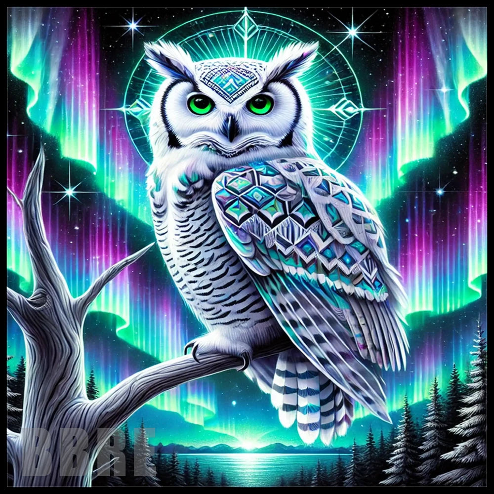 Mystical Owl Main Image,