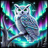 Mystical Owl Main Image,
