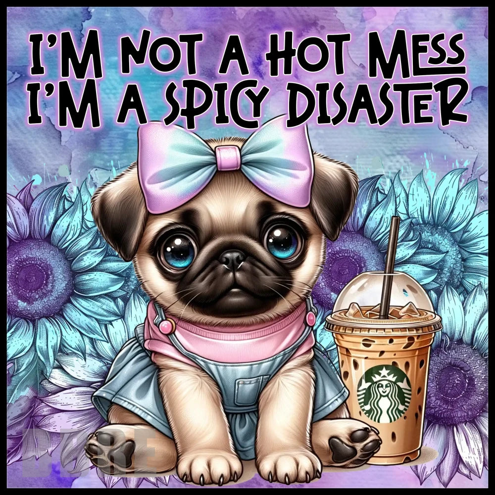 Spicy Pug Main Image,