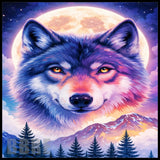 Mystical Wolf Main Image,