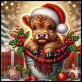 Festive Calf Main Image,