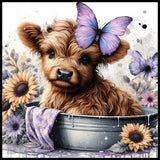 Butterfly Calf Main Image,