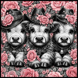 Cowgirl Trio Main Image,