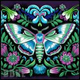 Floral Moth Main Image,