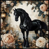 Elegant Black Horse Main Image,