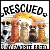 Rescue Dogs Main Image,