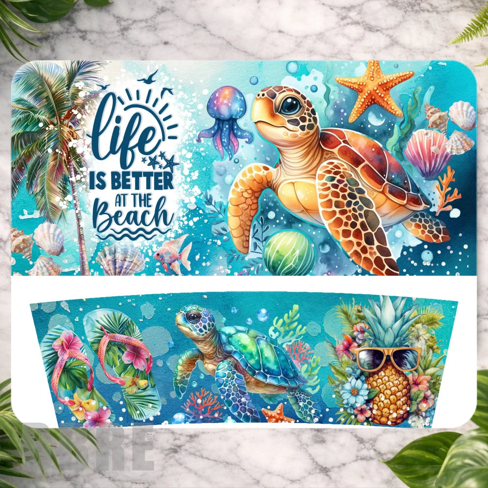 Beach Turtle Main Image,