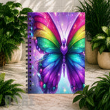 Rainbow Butterfly Main Image