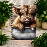 Highland Cow 9 Main Image