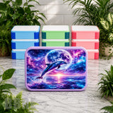 Cosmic Dolphin Lunch Box Transfer