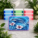 Dolphin Paradise Lunch Box Transfer