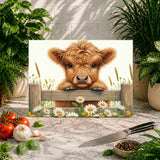 Highland Cow 2 Main Image