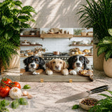 Puppy Kitchen Main Image