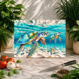Turtle Adventure Main Image