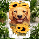 Sunny Dog Product Image