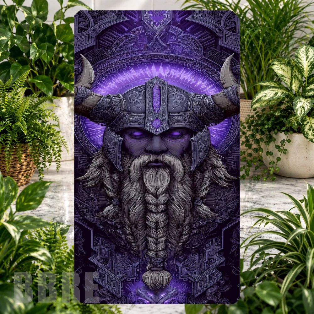 Viking Warrior Product Image