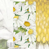 Daisy Delight Faded Image