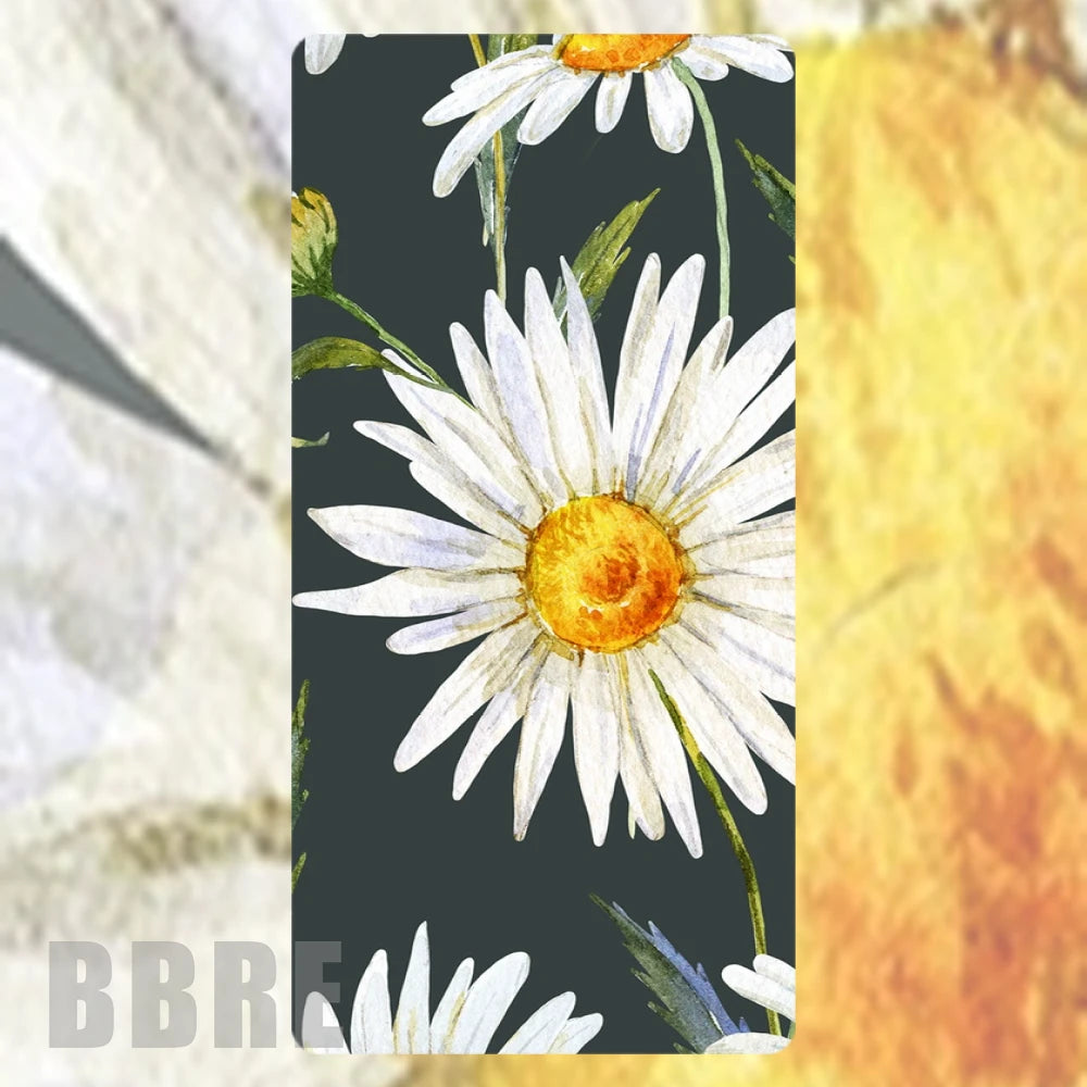 Daisy Delight 2 Faded Image