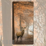 Autumn Stag Faded Image