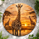 Giraffe Sunset Main Image