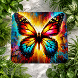 Vibrant Butterfly Main Image